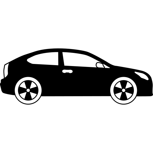 sheep image